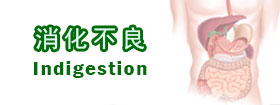 消化不良