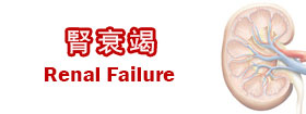 腎衰竭
